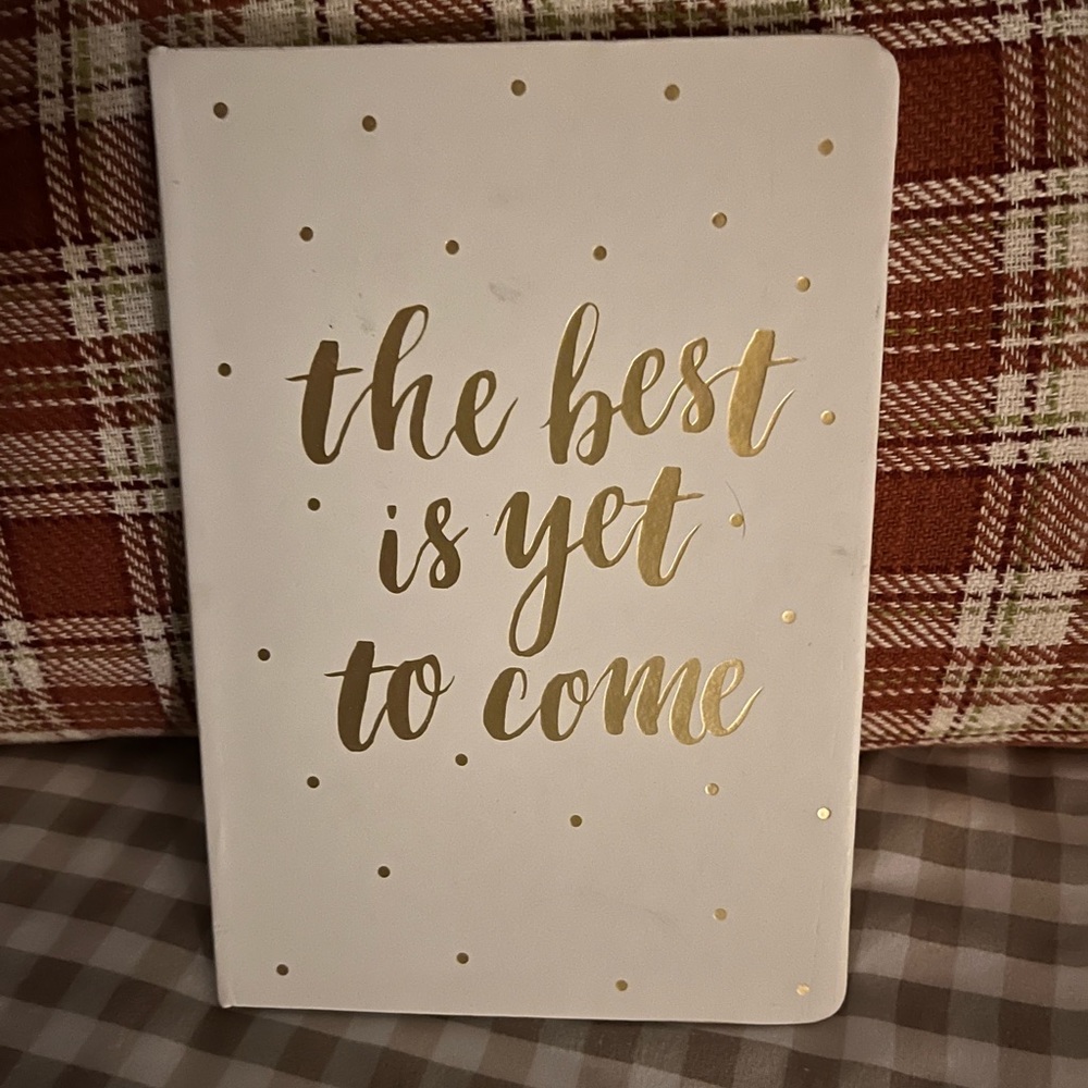 Unlined new journal white with gold saying and unlined pages